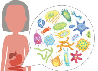 Mikrobiom jelitowy pod wpływem diety – jak żywienie kształtuje ekosystem bakterii w jelitach Zbilansowana dieta bogata w błonnik kształtuje różnorodny i zdrowy mikrobiom jelitowy człowieka