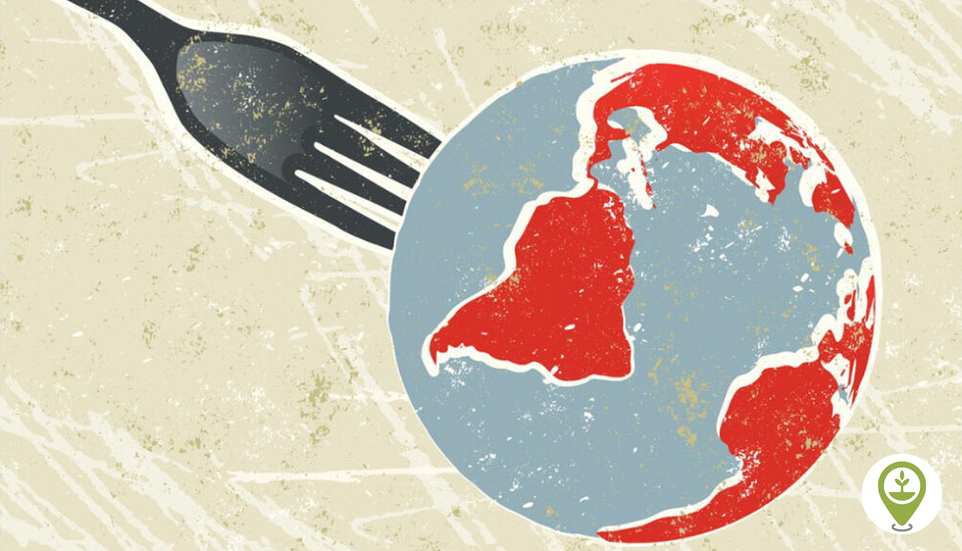 odpowiednia dieta kształtuje skład mikroorganizmów zasiedlających nasze jelita dieta kształtuje skład bakterii w jelitach