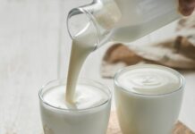 Kefir codziennie: mikrobiota, odporność i jelita przy nietolerancji laktozy odpornosc wspierana przez kefir