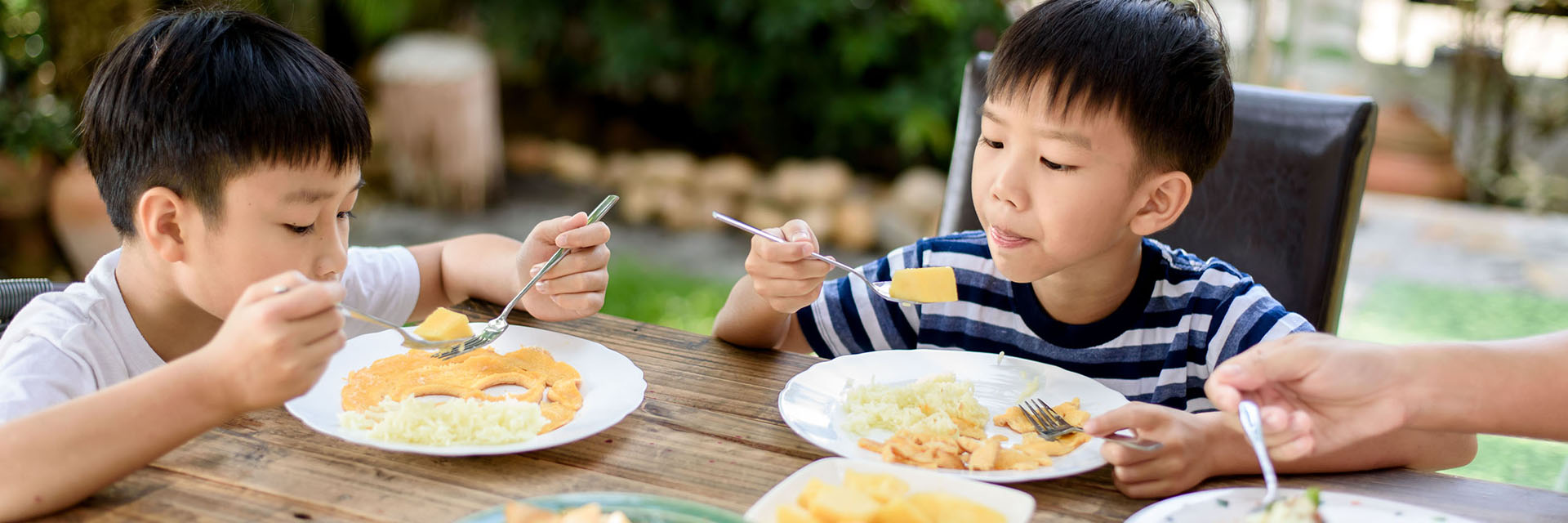 dieta bogata w omega-3 wspiera koncentrację i rozwój mózgu dziecka zbilansowane posiłki wzmacniają skupienie podczas nauki