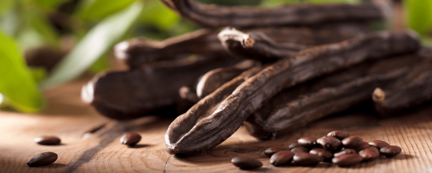 zielone drzewo karobowe z ciężkimi brązowymi strąkami na gałęziach w słonecznym sadzie