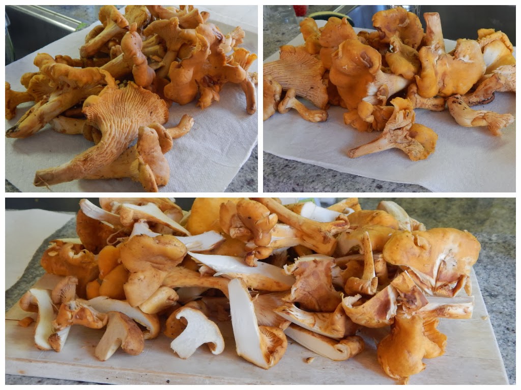 świeże rydze prosto z lasu świeże pomarańczowe rydze w wiklinowym koszyku na drewnianym stole